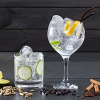 Gin Tonic