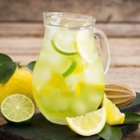 Limonada Clasica Botella