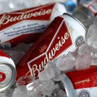 BUDWEISER
